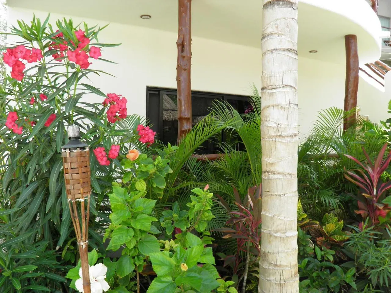 Tua Tulum Apartments Large Comfortable Pool Parking Space